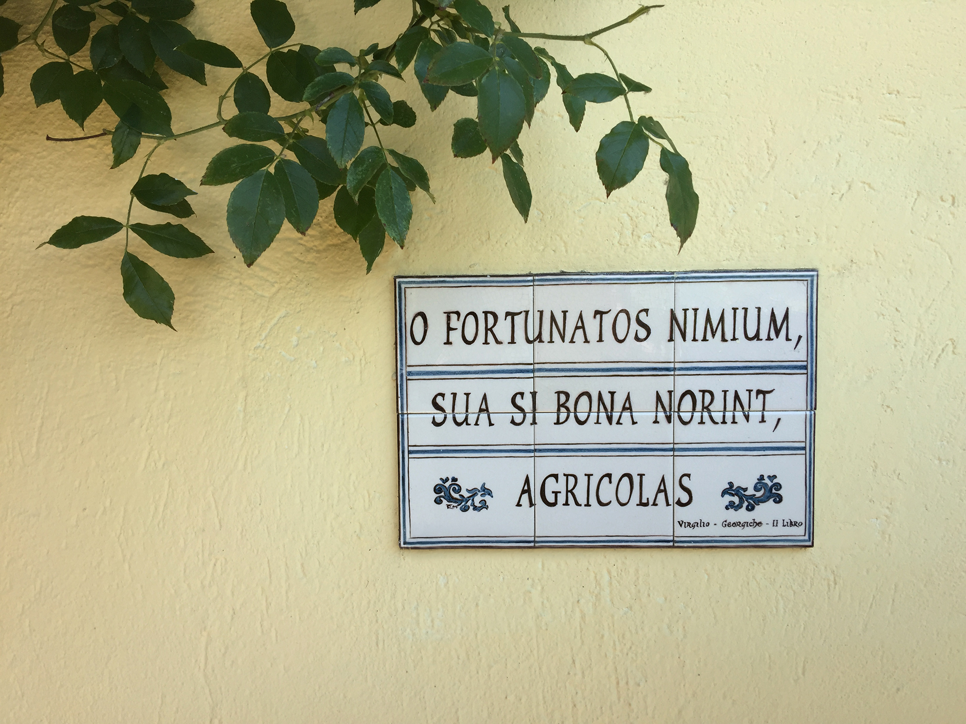 Troppo fortunati sarebbero i contadini, se conoscessero i loro beni